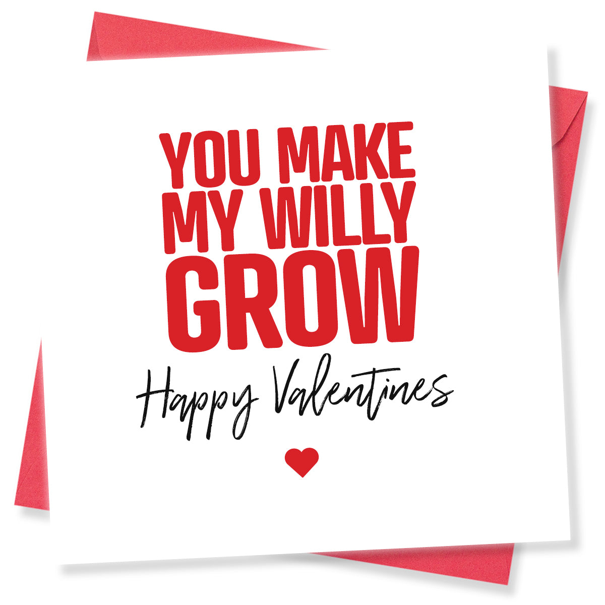 Funny Rude Valentine’s Day Card – “You Make My Willy Grow” – Naughty Valentine’s Card for Him – Cheeky Adult Humour Card by Punk Cards