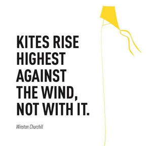 Inspirational Cards Saying Kites Rise Highest Against The Wind, Not With It