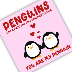 Penguins Find a Mate and Stay Together forever. You Are My Penguin