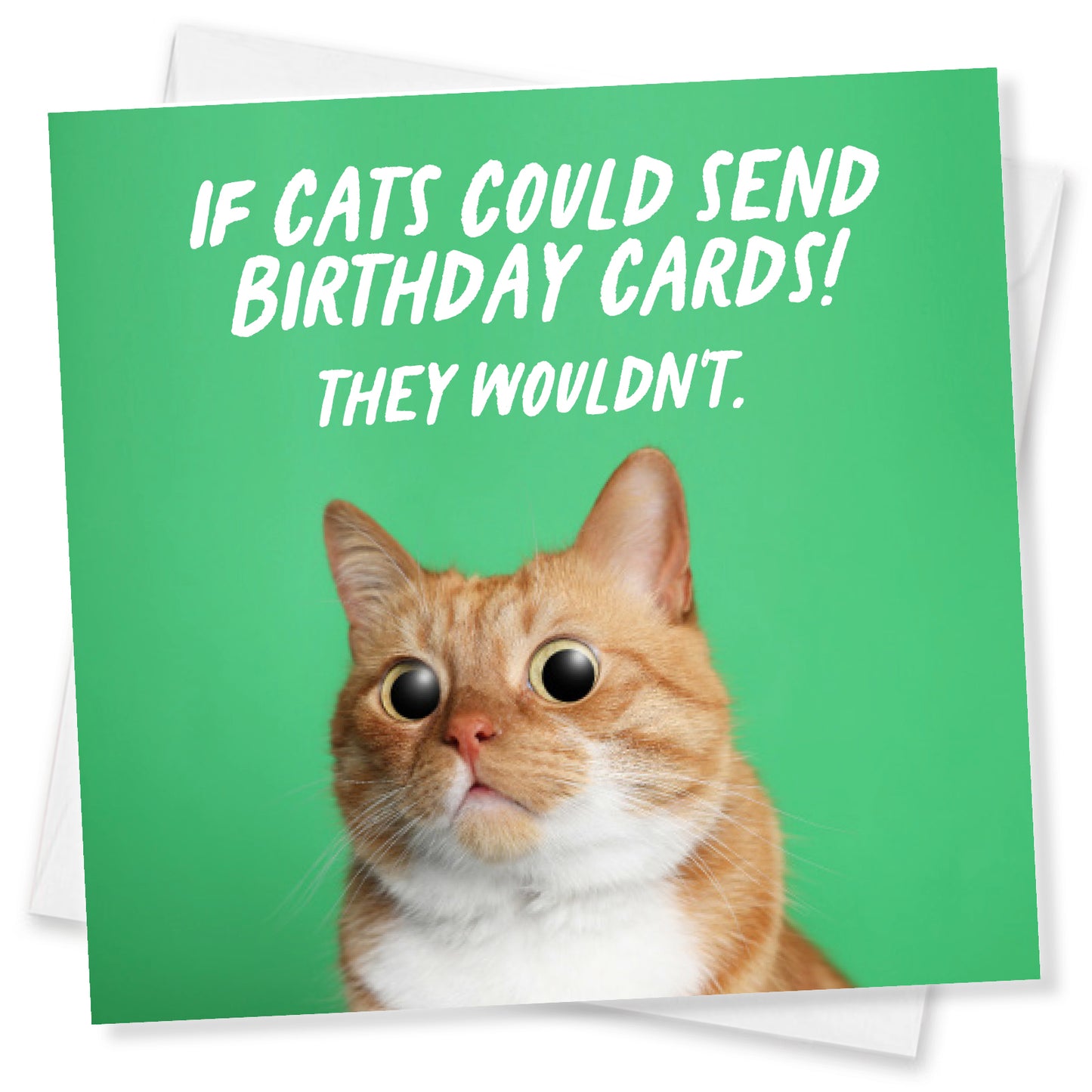 Funny Birthday Card - If Cats could send Birthday Cards! They Wouldn't