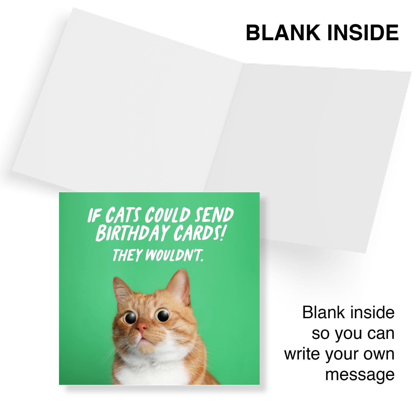Funny Birthday Card - If Cats could send Birthday Cards! They Wouldn't