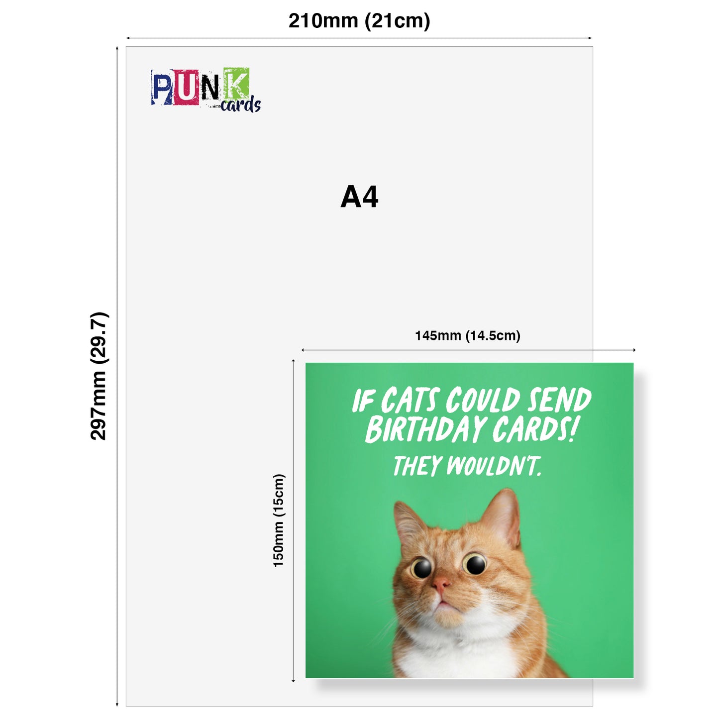 Funny Birthday Card - If Cats could send Birthday Cards! They Wouldn't