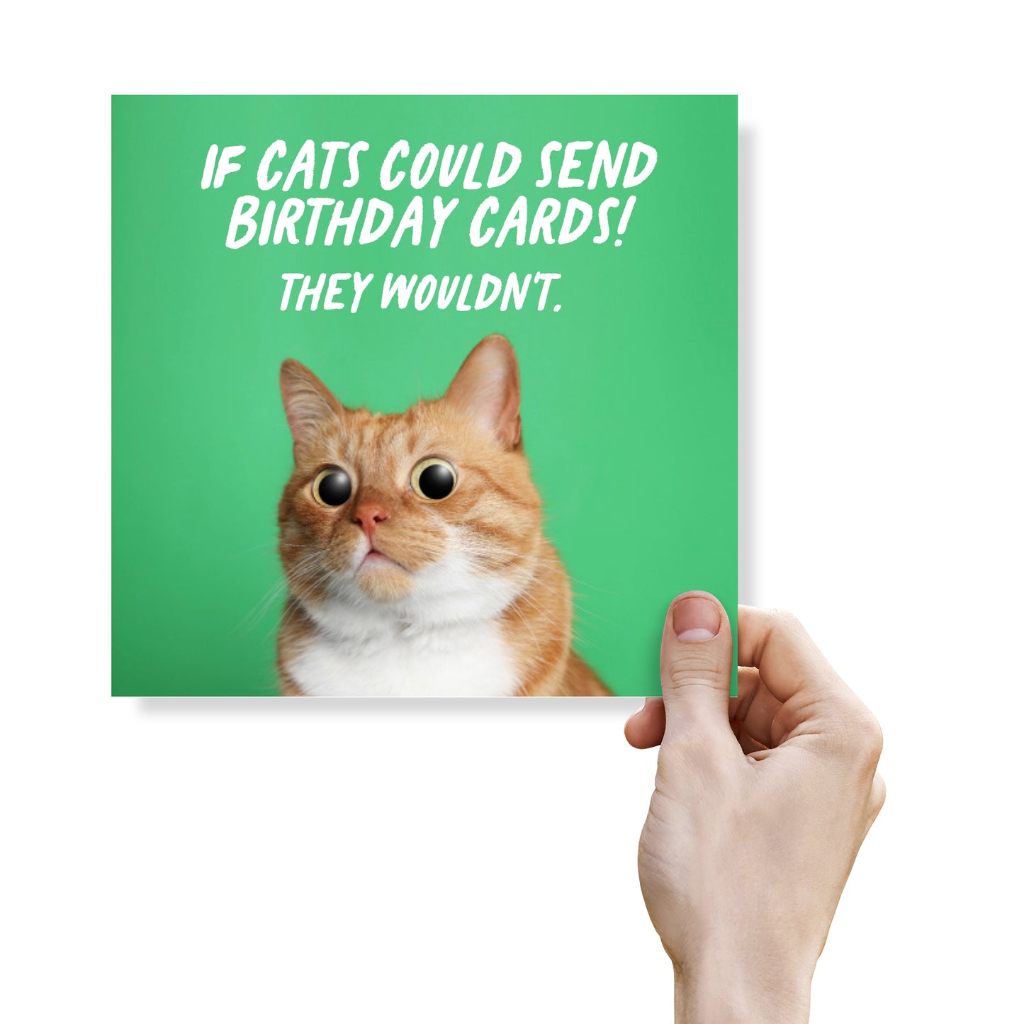 Funny Birthday Card - If Cats could send Birthday Cards! They Wouldn't