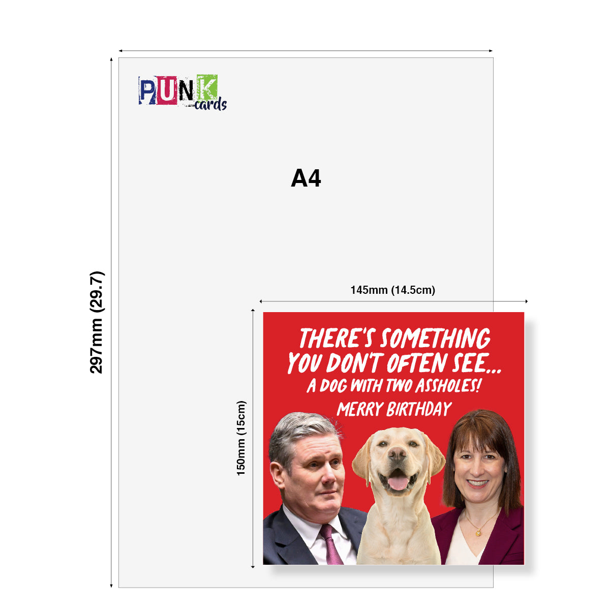 A4 size card template with dimension markings showing 297mm by 145mm, featuring a custom printed design with a red background, white text, and a photo of a dog with two people. The PUNK cards logo is visible in the top left.