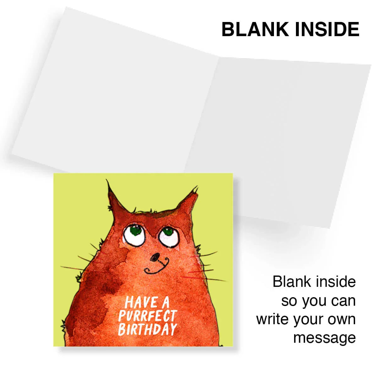 Funny cat birthday card with 'Have a Purrfect Birthday' message, blank inside for custom note.