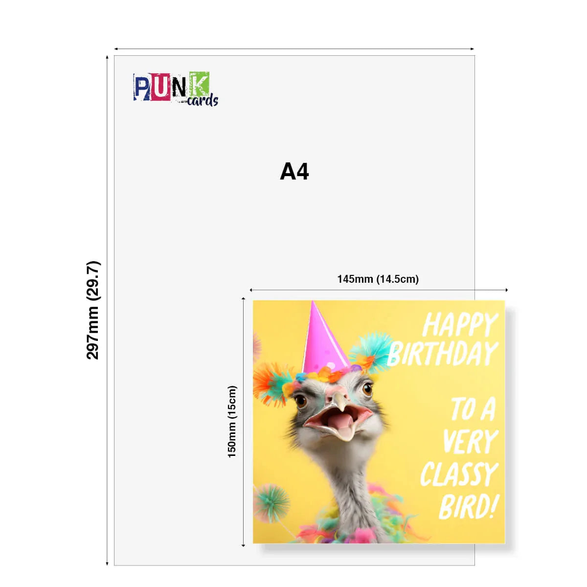 A4 size card with an ostrich wearing a birthday hat and 'Happy Birthday to a very classy bird!' text, branded 'Punk Cards'.