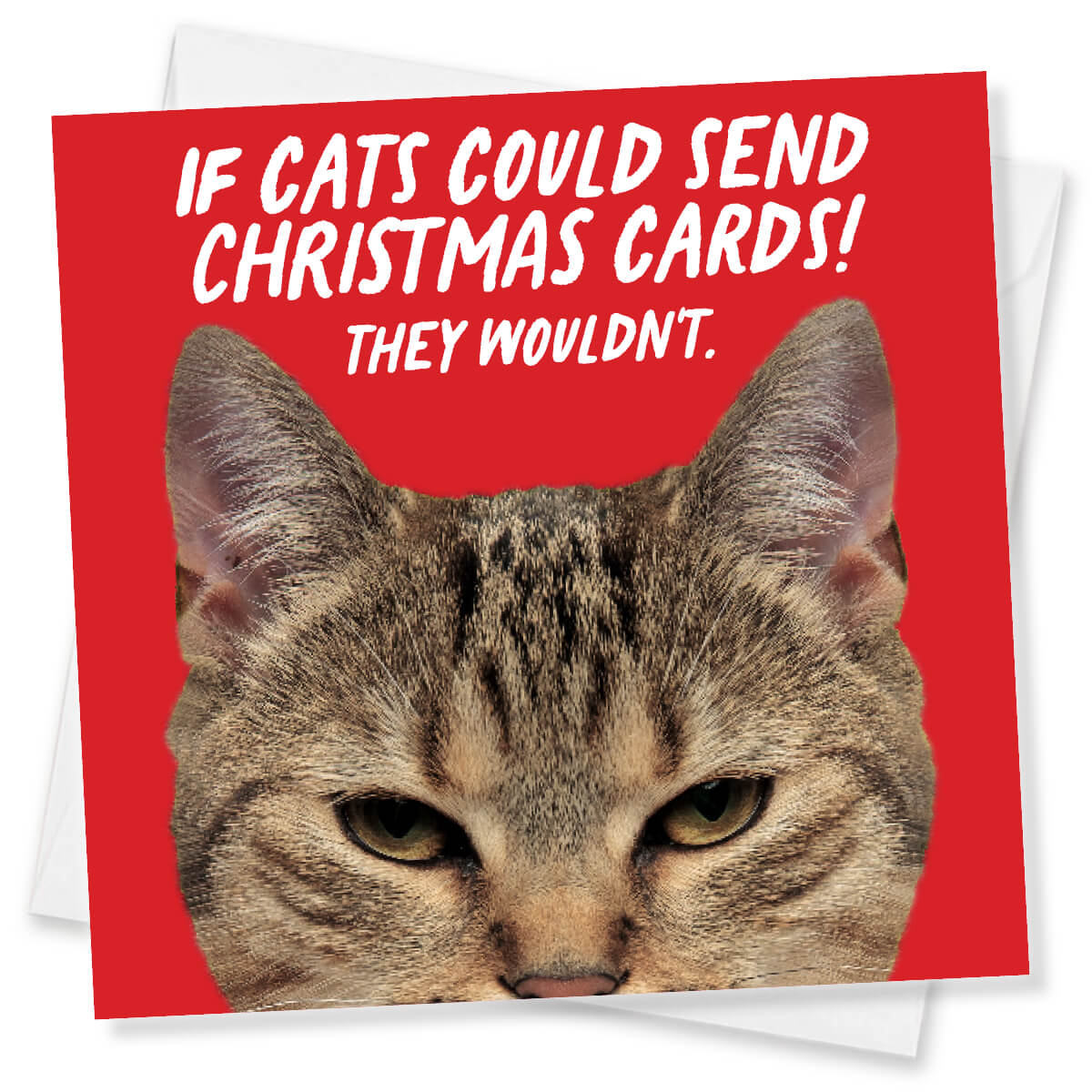 Funny Christmas card with red background and If Cats could send Christmas cards  – design by Punk Cards UK
