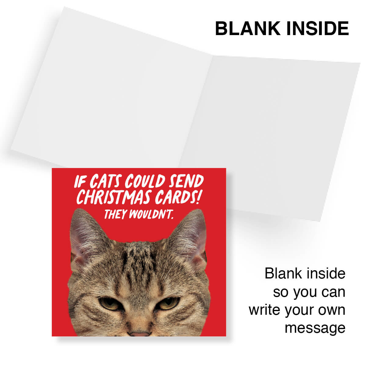 Inside of funny Christmas card – blank inside for your own message.