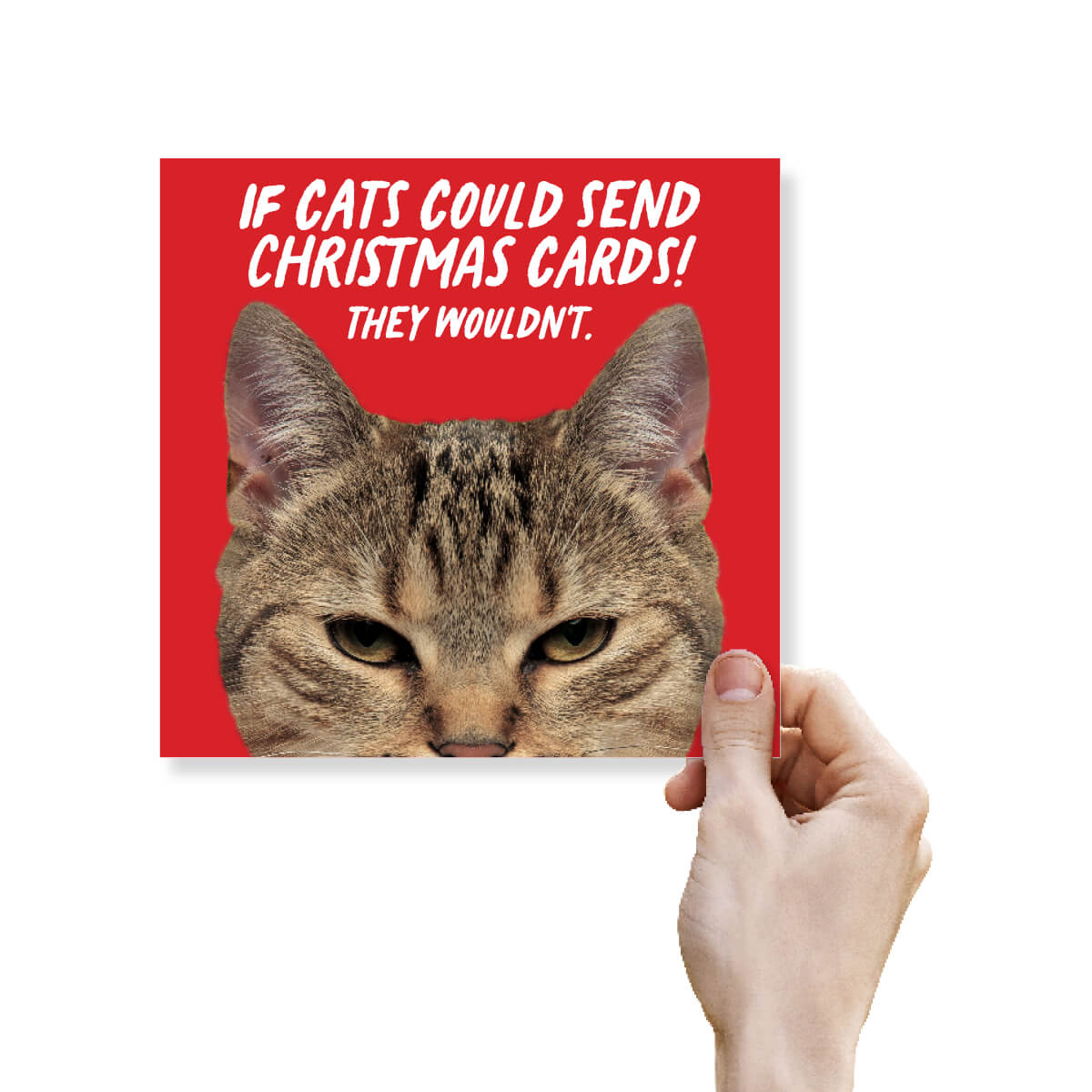 Funny Christmas card shown next to A4 sheet for size comparison