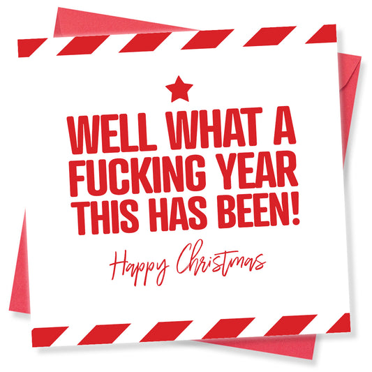 Funny Christmas Card – Well What a Fucking Year This Has Been!