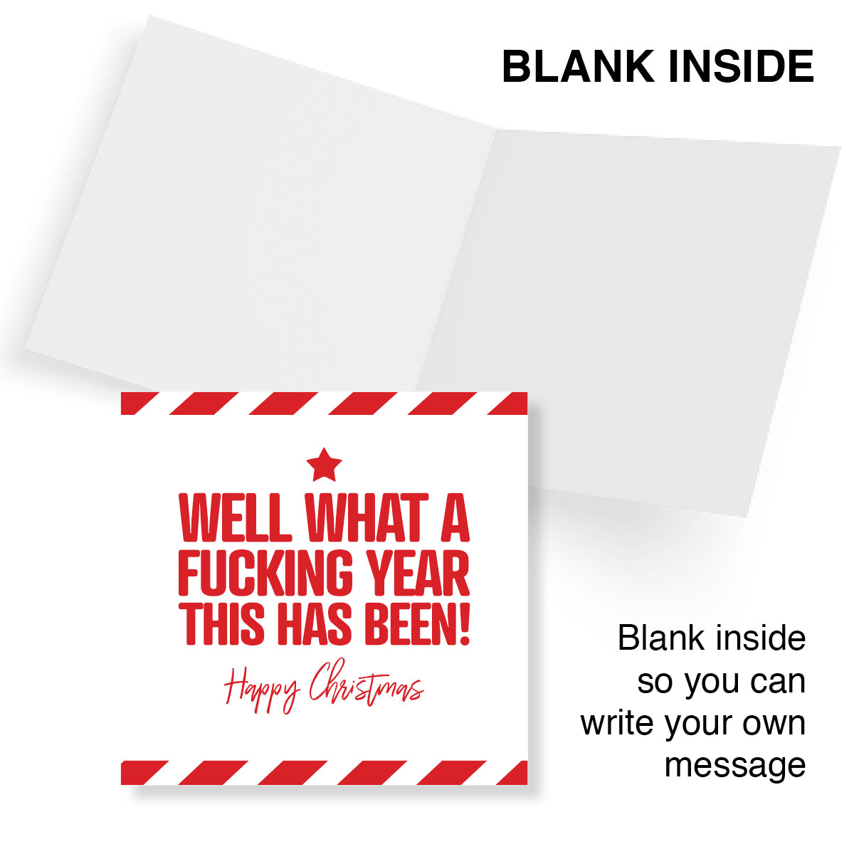Funny Christmas Card – Well What a Fucking Year This Has Been!