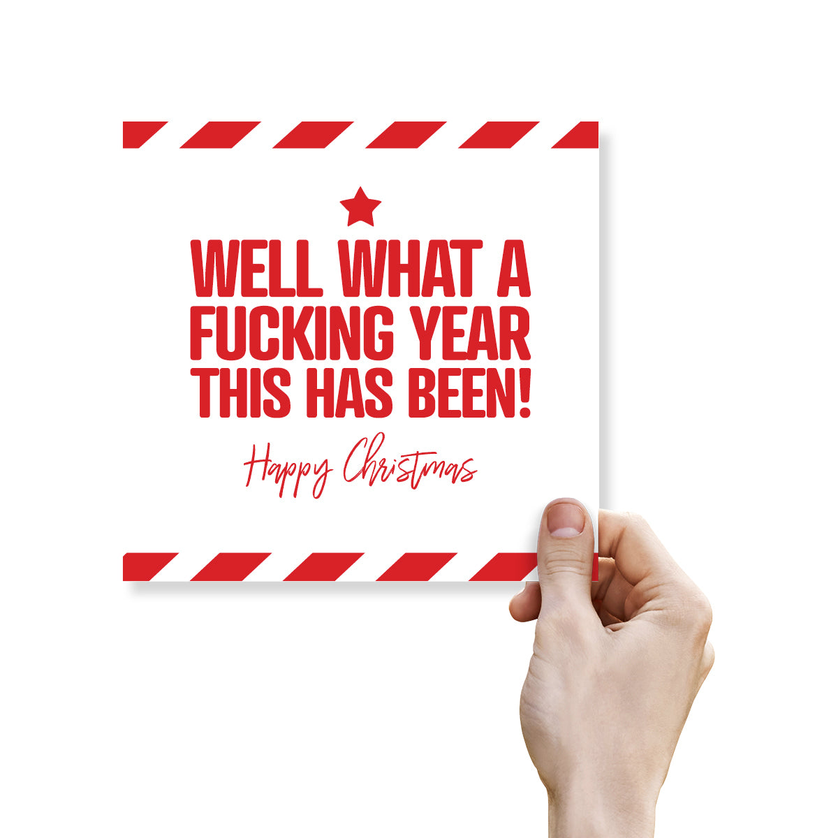 Funny Christmas Card – Well What a Fucking Year This Has Been!