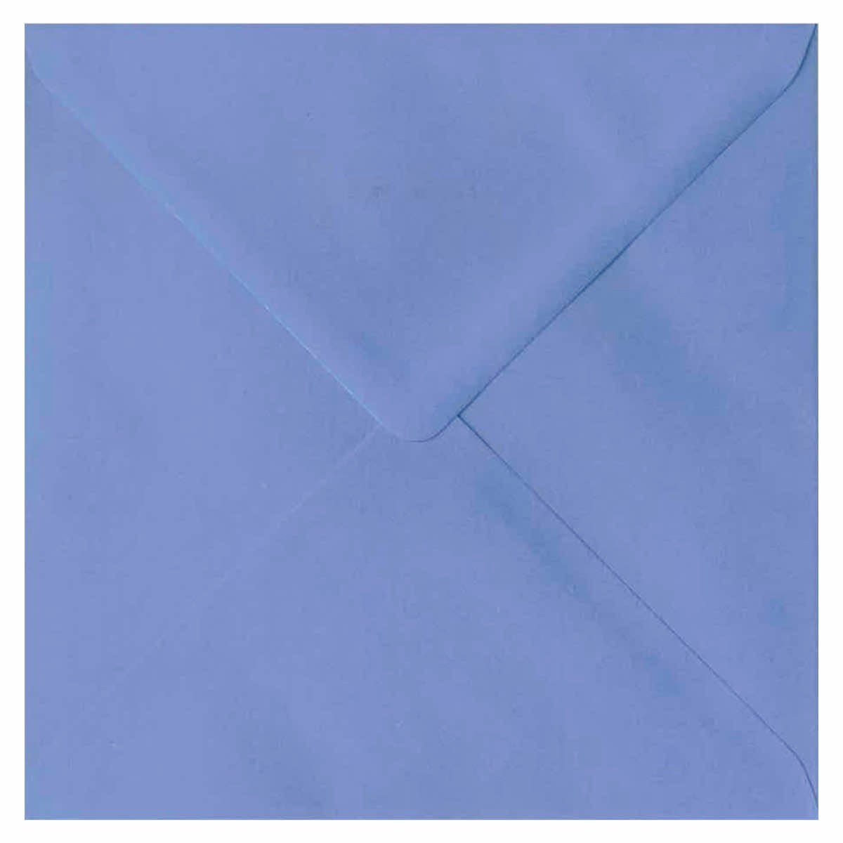 Rude Political Birthday Card – Select All Squares