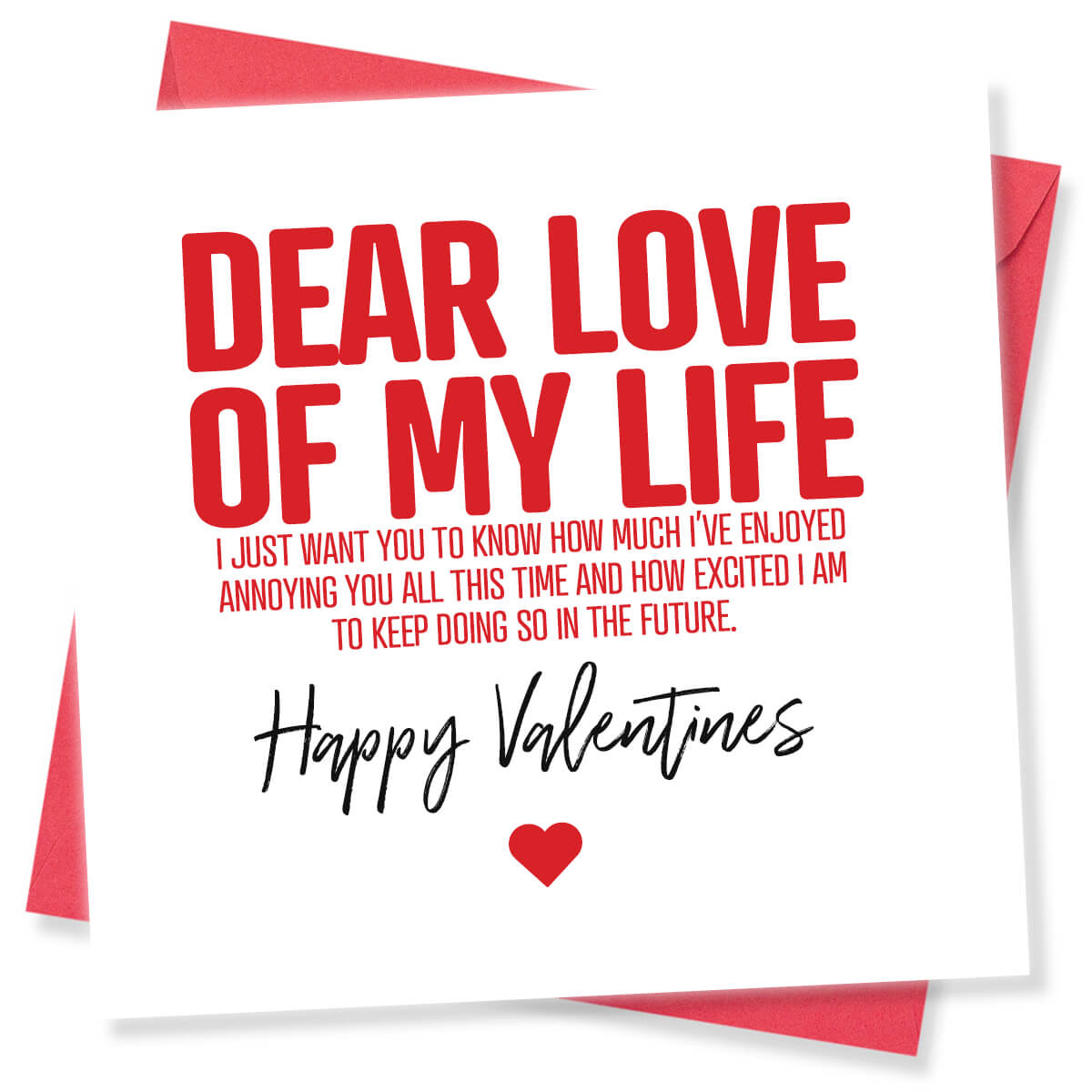 Funny Valentine’s Day Card – Dear Love Of My Life I Just Want You To Know How Much I’ve Enjoyed Annoying You All This Time And How Excited I Am To Keep Doing So In The Future.