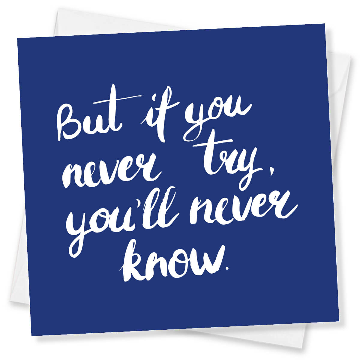 But If You Never Try You’ll Never Know