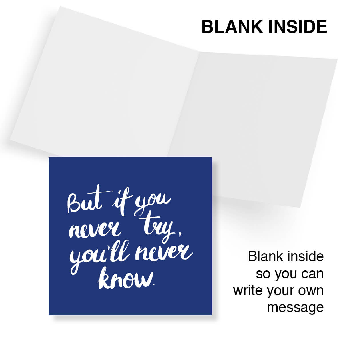 But If You Never Try You’ll Never Know