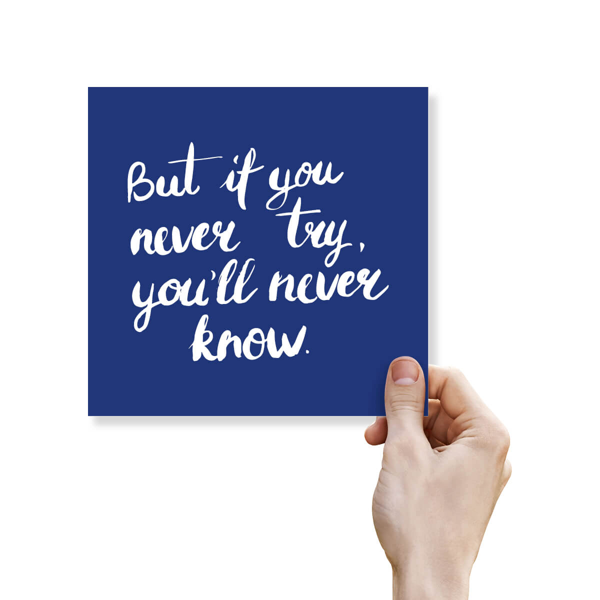 But If You Never Try You’ll Never Know