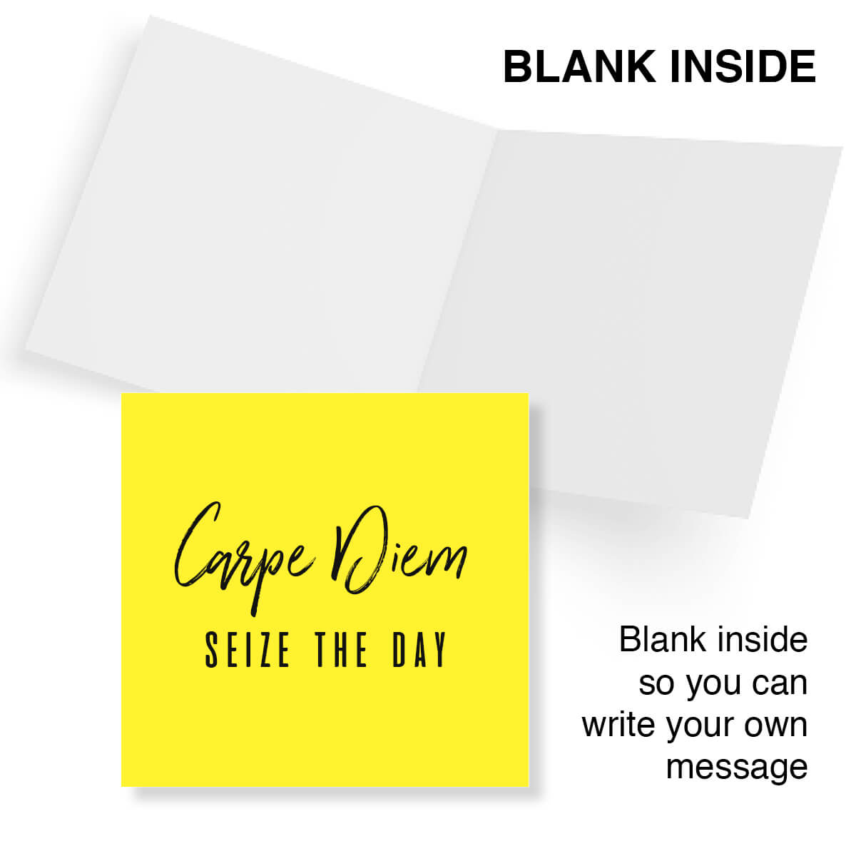 Carpe Diem Seize The Day