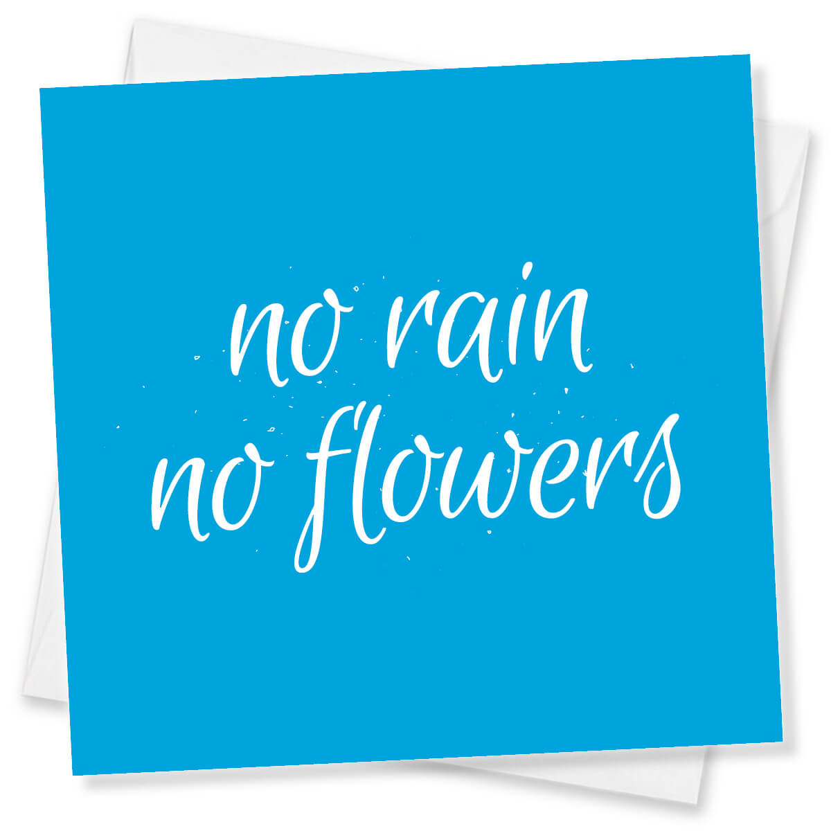 No Rain No Flowers
