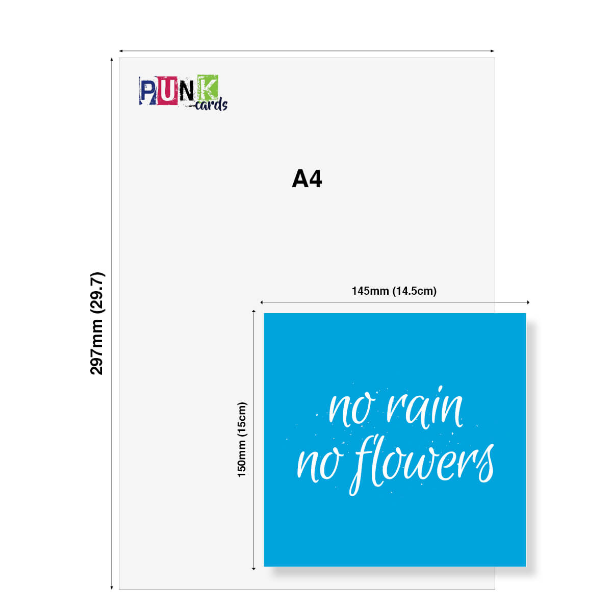 No Rain No Flowers