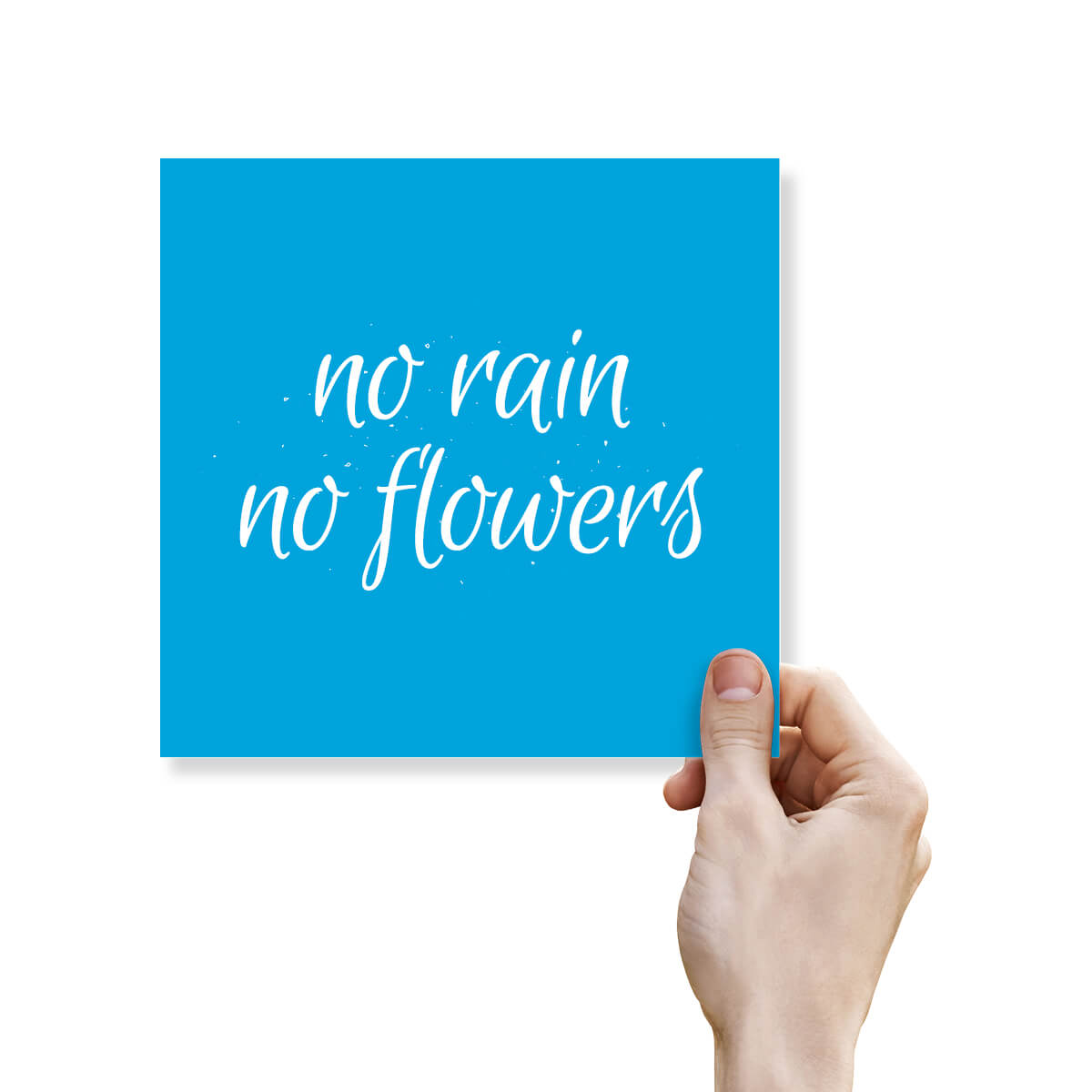 No Rain No Flowers