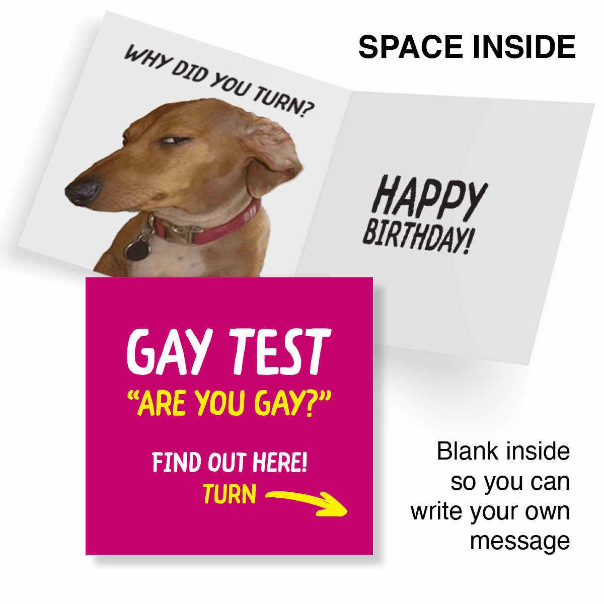 Customizable birthday greeting card mockup showing an open dog-face card with placeholder text and a bright pink front cover with the text 'GAY TEST "ARE YOU GAY?" FIND OUT HERE! TURN' and a yellow arrow. Text around the product says 'SPACE INSIDE' and 'Blank inside so you can write your own message'.