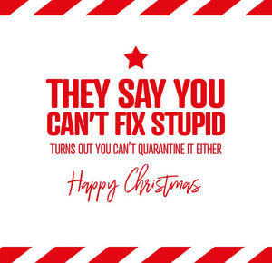 funny christmas card saying They say you can’t fix stupid