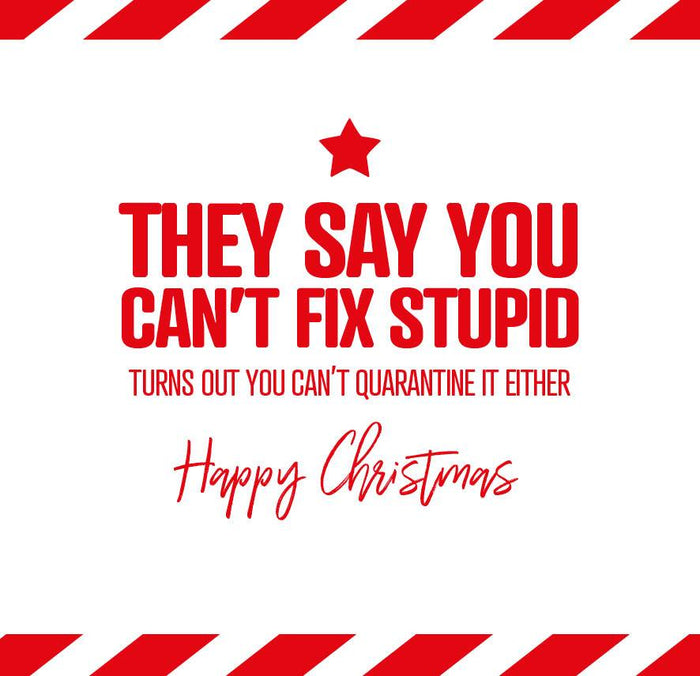 Funny Christmas Card - They say you can’t fix stupid
