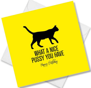 Funny Birthday Cards saying What a nice pussy you have Happy Birthday