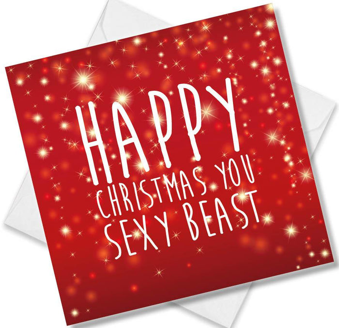 Happy Christmas You Sexy Beast
