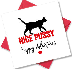 rude valentines card sayingNice Pussy