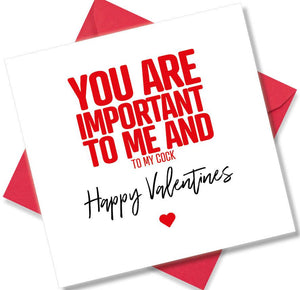 rude valentines card sayingYou Are Important To Me And And My Cock